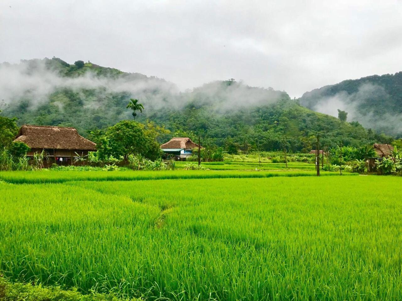 Xoi Farmstay - Eco Homestay Luc Yen Yen Bai Екстериор снимка